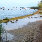 Camping przy Lago di Garda