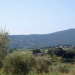 castellina-in-chianti-sienna-001-wlochy Targ w Castellina in Chianti Sienna