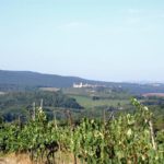 castellina-in-chianti-sienna-002-wlochy Targ w Castellina in Chianti Sienna