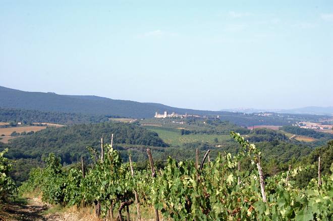 castellina-in-chianti-sienna-002-wlochy