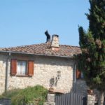 castellina-in-chianti-sienna-007-wlochy Targ w Castellina in Chianti Sienna