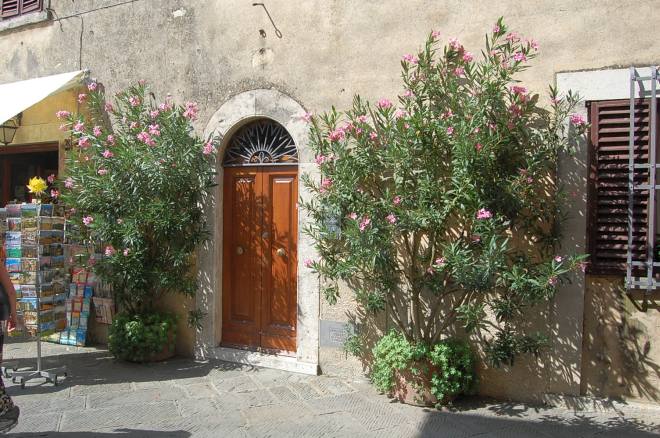 castellina-in-chianti-sienna-014-wlochy