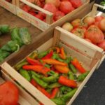 castellina-in-chianti-sienna-032-wlochy Targ w Castellina in Chianti Sienna