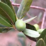 miasta-miasteczka-021-wlochy Włoskie miasta i miasteczka