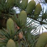 miasta-miasteczka-022-wlochy Włoskie miasta i miasteczka