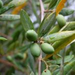 miasta-miasteczka-025-wlochy Włoskie miasta i miasteczka