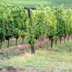 miasta-miasteczka-029-wlochy Włoskie miasta i miasteczka