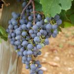 miasta-miasteczka-030-wlochy Włoskie miasta i miasteczka