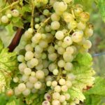 miasta-miasteczka-031-wlochy Włoskie miasta i miasteczka