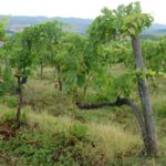 miasta-miasteczka-032-wlochy Włoskie miasta i miasteczka