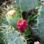 miasta-miasteczka-036-wlochy Włoskie miasta i miasteczka