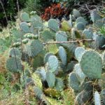 miasta-miasteczka-037-wlochy Włoskie miasta i miasteczka