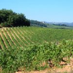 monteriggioni-009-wlochy Spacerem po Monteriggioni