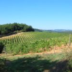 monteriggioni-010-wlochy Spacerem po Monteriggioni