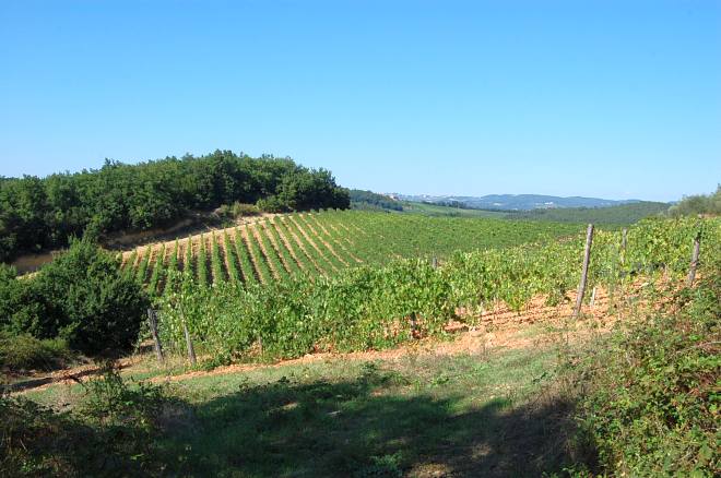 monteriggioni-010-wlochy
