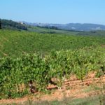 monteriggioni-011-wlochy Spacerem po Monteriggioni