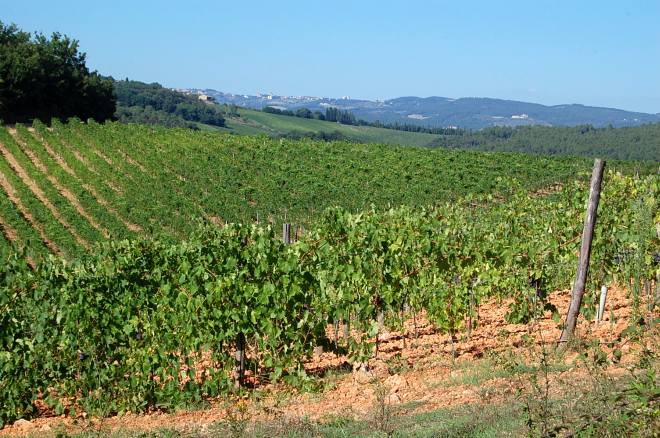 monteriggioni-011-wlochy