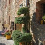 monteriggioni-120-wlochy Spacerem po Monteriggioni