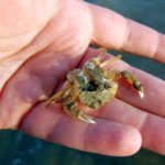 Plaże nad morzem Tyrreńskim