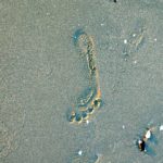 Plaże nad morzem Tyrreńskim