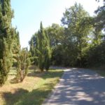 miecz i słoneczniki w San Galgano na Montesiepi