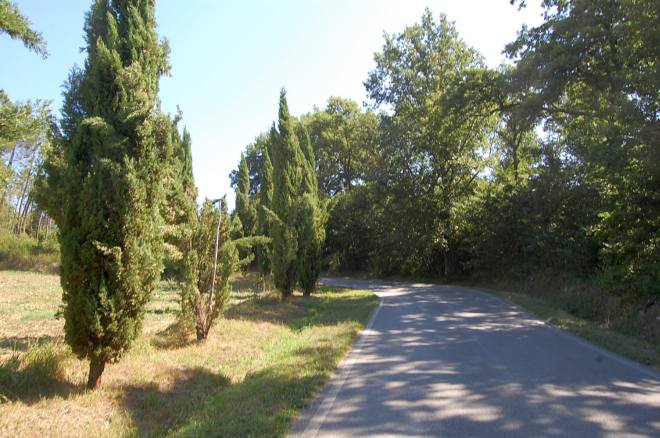 san-galgano-montesiepi-003-wlochy