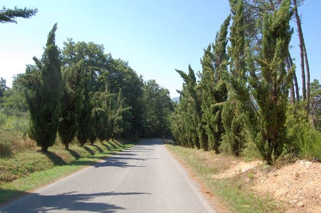 san-galgano-montesiepi-005-wlochy