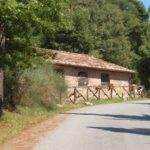 miecz i słoneczniki w San Galgano na Montesiepi