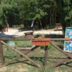 miecz i słoneczniki w San Galgano na Montesiepi