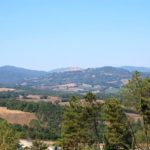 miecz i słoneczniki w San Galgano na Montesiepi