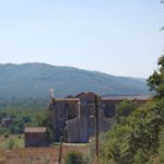 miecz i słoneczniki w San Galgano na Montesiepi
