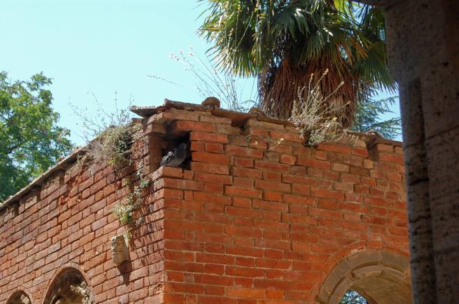 san-galgano-montesiepi-051-wlochy
