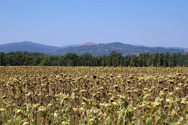 san-galgano-montesiepi-060-wlochy