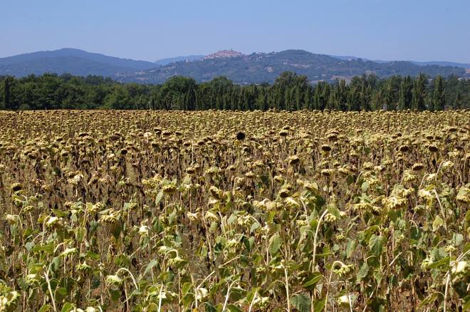 san-galgano-montesiepi-061-wlochy