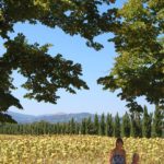 miecz i słoneczniki w San Galgano na Montesiepi