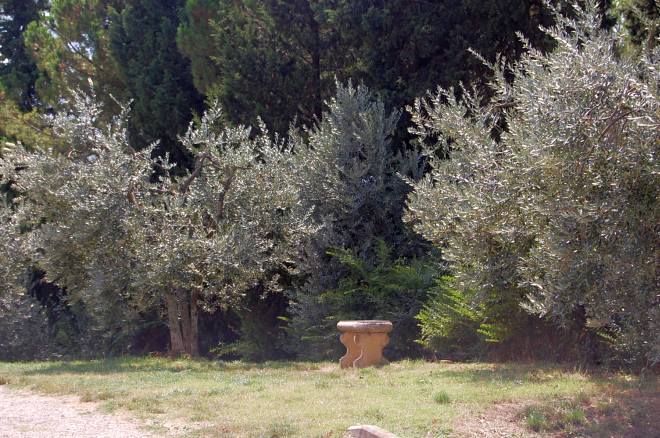 san-gimignano-139-wlochy