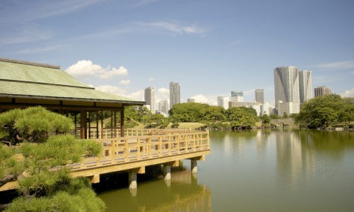 Powolne życie według KAYAK-a