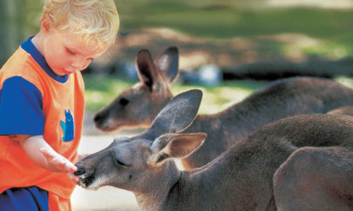 Dalekie podróże Polaków – najpopularniejsze kierunki