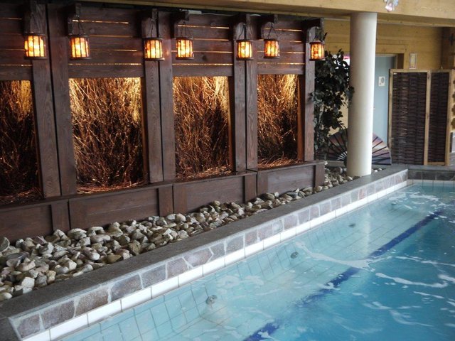 Tążnia solankowa – co warto o niej wiedzieć