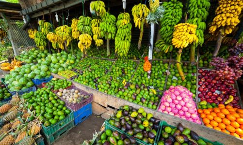 Co natura dała Sri Lance?