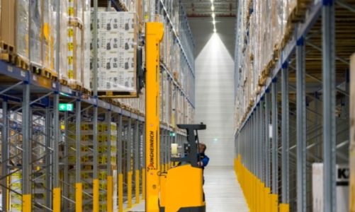 Dachser rozkwita w sezonie ogrodniczym