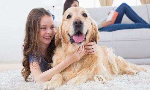 Zwierzą w domu. 4 produkty, które ułatwią ci sprzątanie