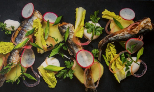 Za 40 lat ryby mogą zniknąć z mórz i oceanów