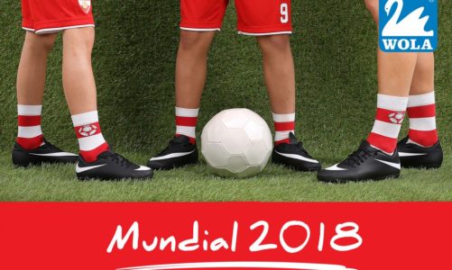 PIŁKA W GRZE – AKCESORIA DLA MAŁEGO I DUĹťEGO KIBICA!