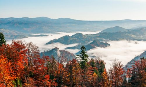 Odpocznij od miejskiego zgiełku – spądĹş weekend aktywnie!