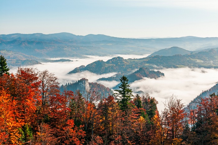 Odpocznij od miejskiego zgiełku – spądĹş weekend aktywnie!