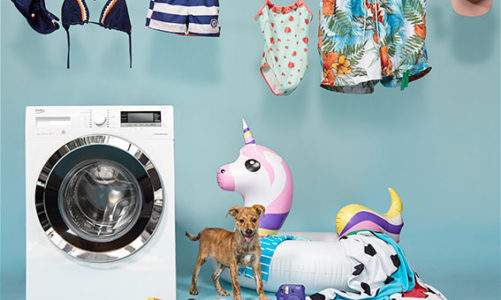 Wyjątkowy kalendarz na czterech łapach