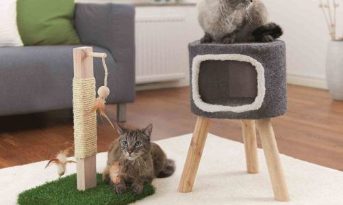 Akcesoria i ubranka dla zwierząt: przydatne rozwiązanie czy modny gadżet?