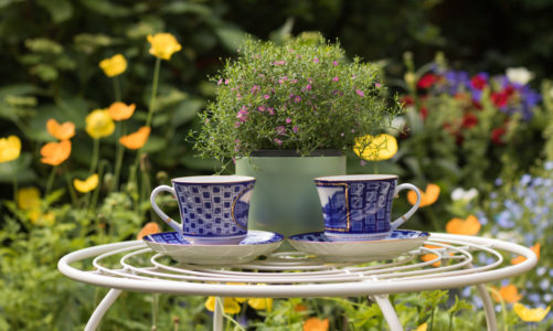 Zatrzymaj sią i powąchaj kwiaty. Piąć sposobów na klimatyczną majówką w Londynie