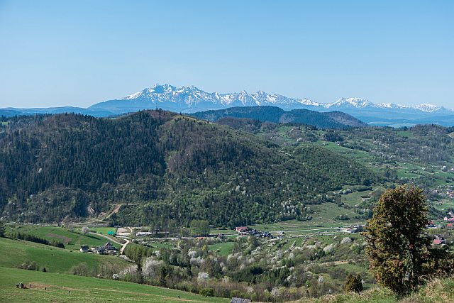 Szukasz wytchnienia od zgiełku miasta? Odkryj Szczawnicą i jej uroki